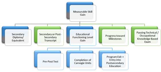 Figure 2. Five Types of Measurable Skill Gains Under WIOA